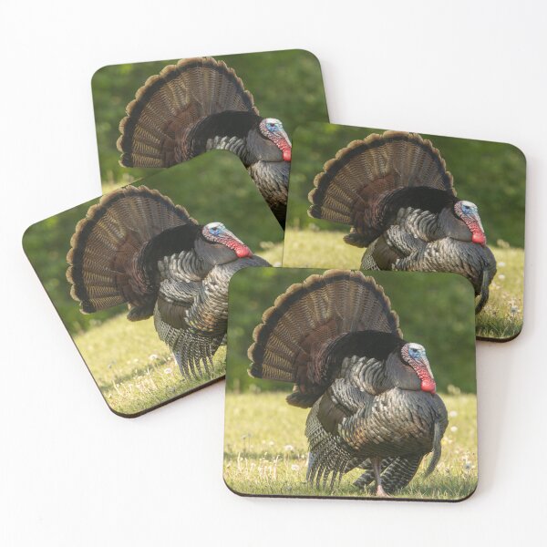 Item preview, Tom Turkey designed and sold by FlyingLilly.