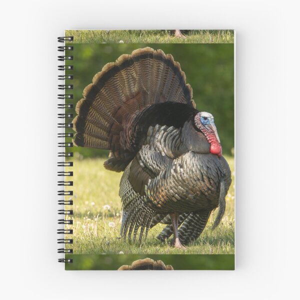 Item preview, Tom Turkey designed and sold by FlyingLilly.