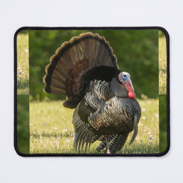 Item preview, Tom Turkey designed and sold by FlyingLilly.