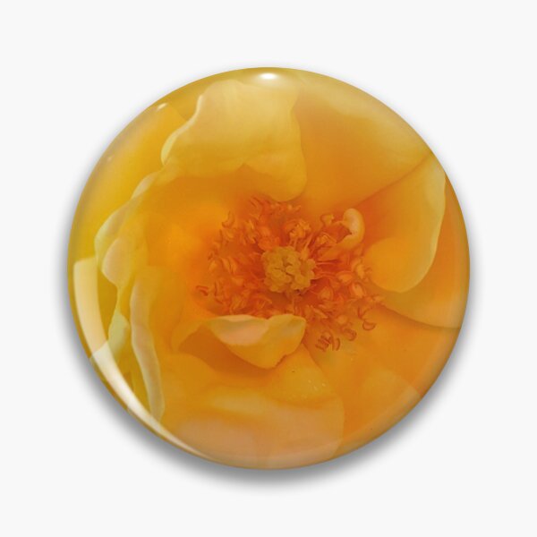 Item preview, Got A New Rose (original) designed and sold by Philip-F-Webb.