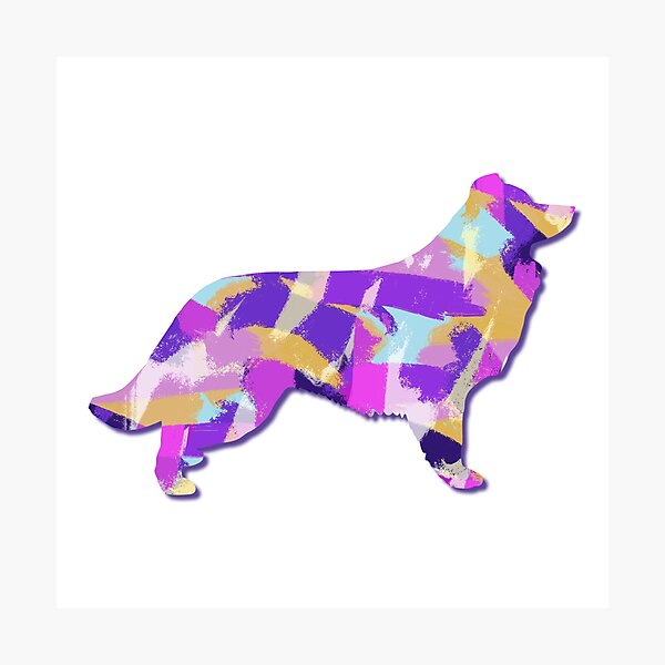 Item preview, Border Collie Dog Silhouette Purple Pink Yellow Blue Design designed and sold by AMSonArt.