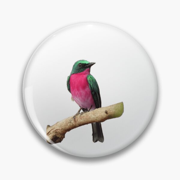 Artikelvorschau, Aves-Illustrationen entworfen und verkauft von pedroserpa.