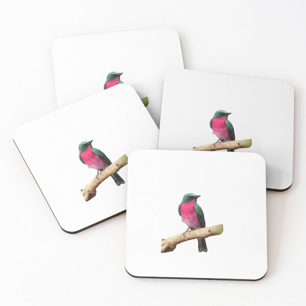 Item preview, Ilustraciones de aves designed and sold by pedroserpa.