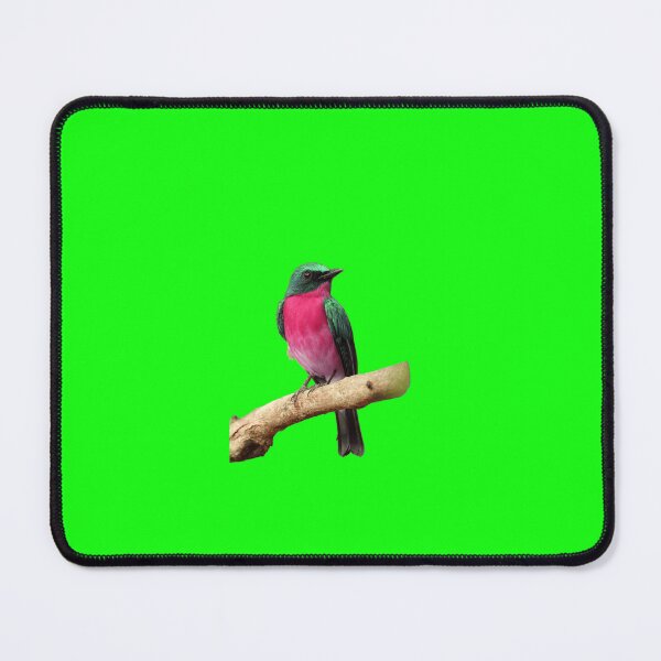 Item preview, Ilustraciones de aves designed and sold by pedroserpa.