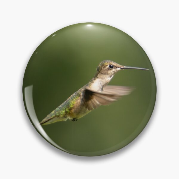 Aperçu de l'œuvre Colibri à gorge rubis créée et vendue par FlyingLilly.