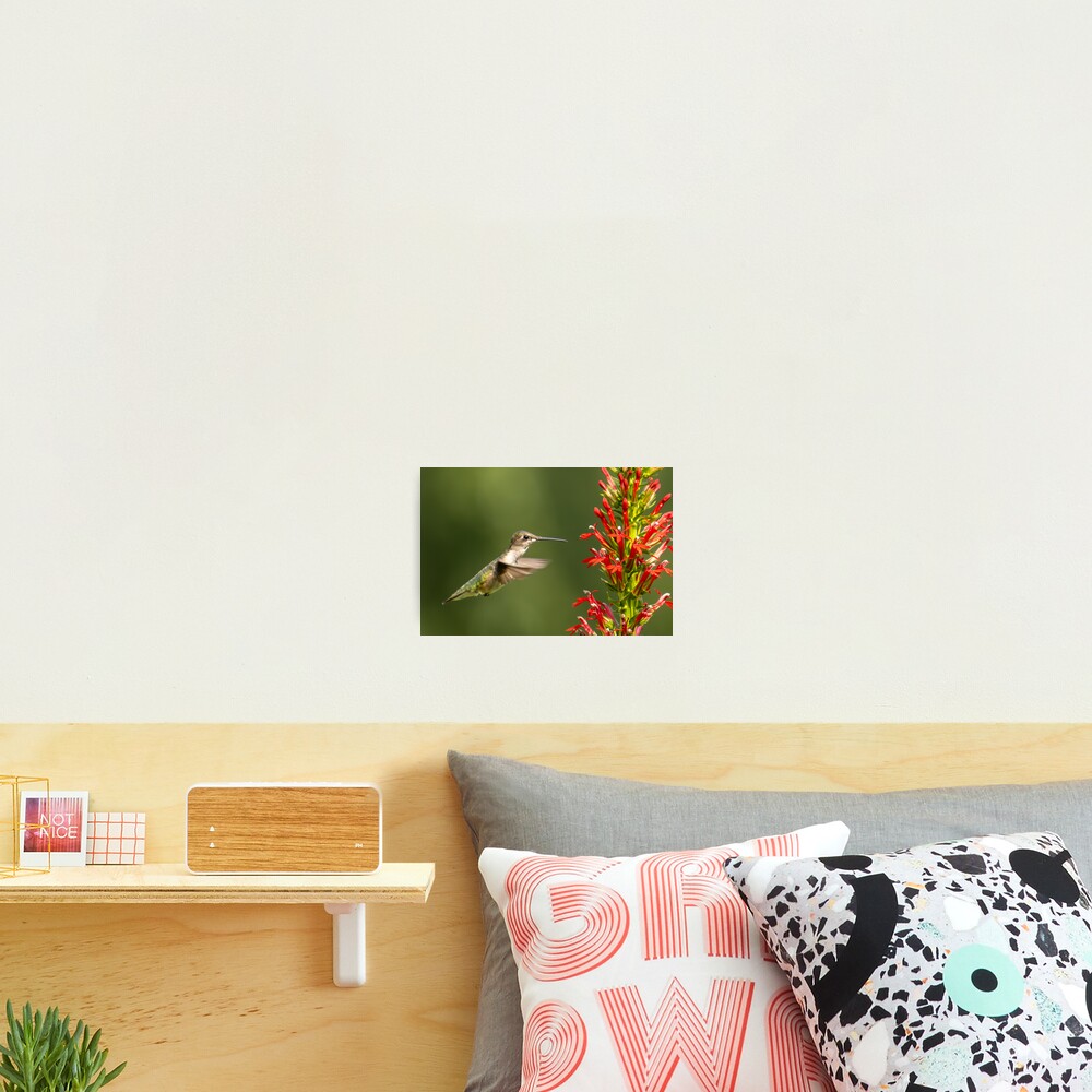 Item preview, Photographic Print designed and sold by FlyingLilly.