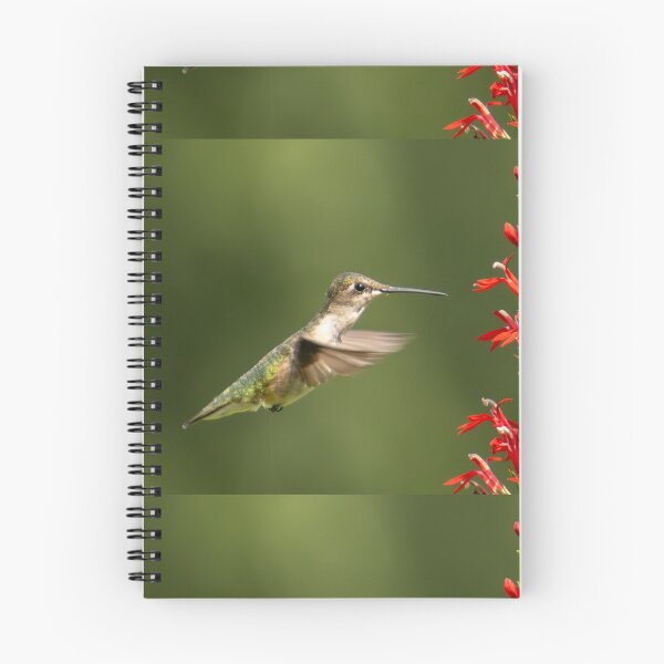 Item preview, Ruby throated Hummingbird designed and sold by FlyingLilly.