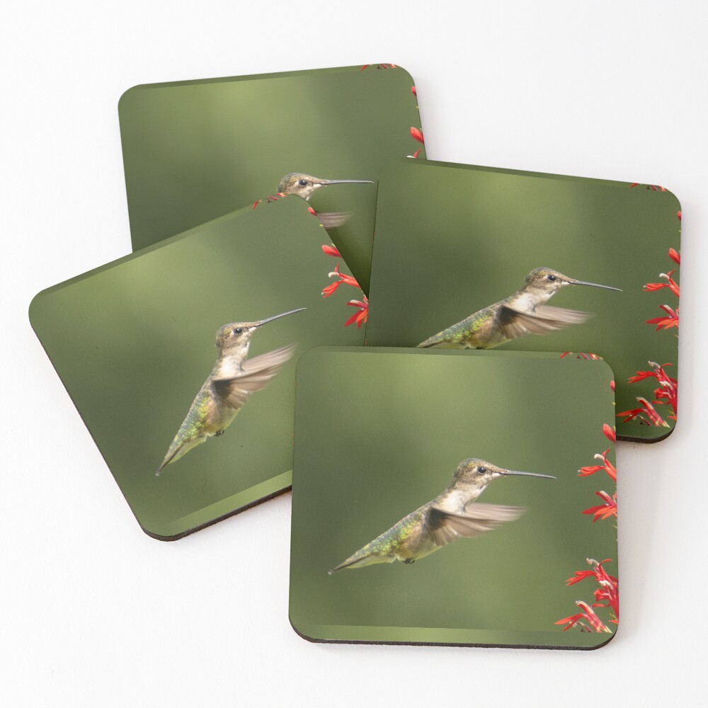 Item preview, Coasters (Set of 4) designed and sold by FlyingLilly.