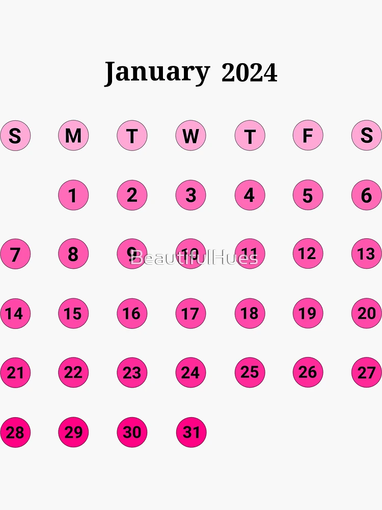 2024 mini calendar stickers for bullet journal and planner