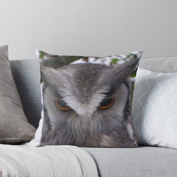 Item preview, Owl Eyes designed and sold by lezvee.