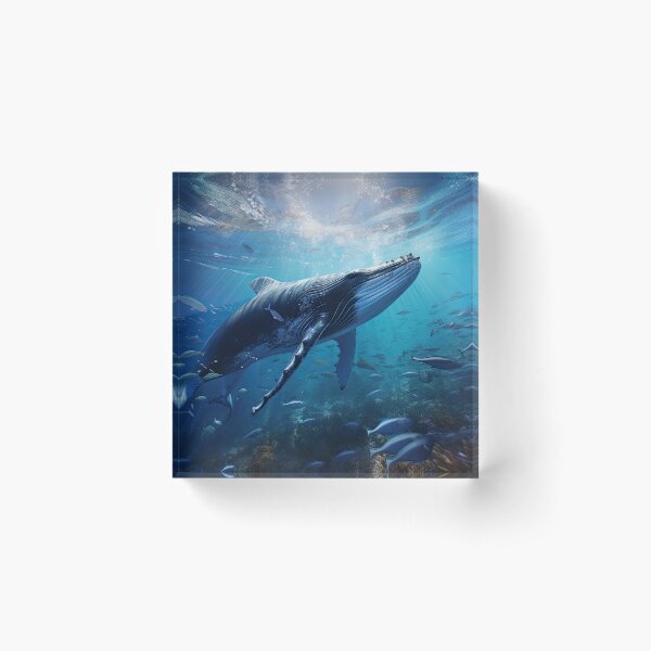 Humpback Whale - Ocean Scene Acrylic Block