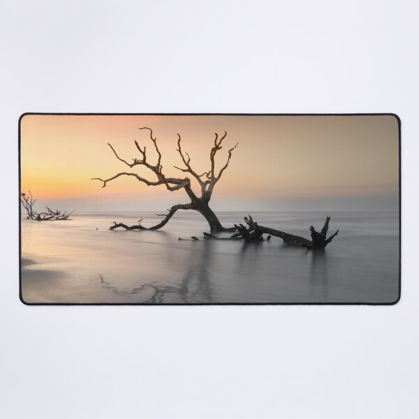 Item preview, Bonyard Beach 23/1 designed and sold by DiFigianoPhoto.