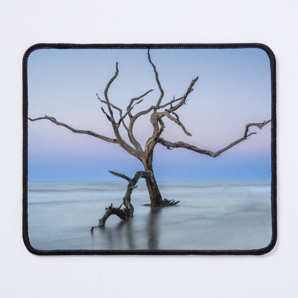 Item preview, Boneyard Beach 23/2 designed and sold by DiFigianoPhoto.