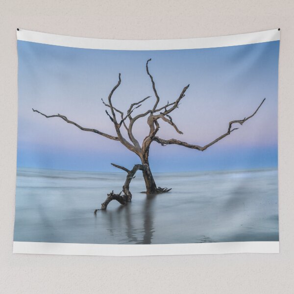 Item preview, Boneyard Beach 23/2 designed and sold by DiFigianoPhoto.