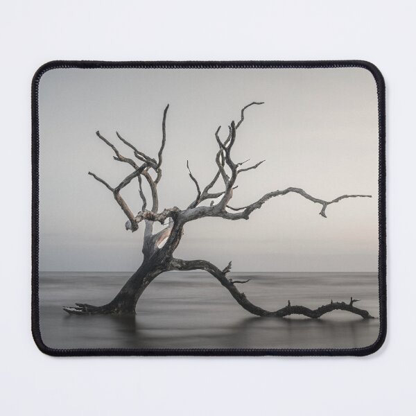Item preview, Boneyard Beach 23/4 designed and sold by DiFigianoPhoto.