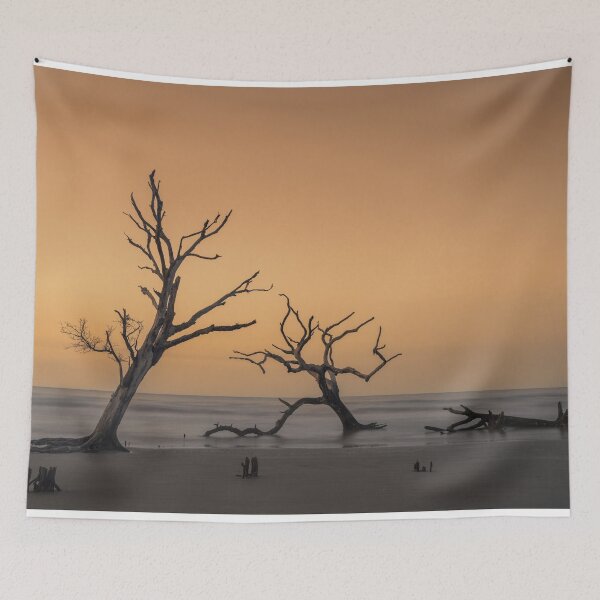 Item preview, Boneyard Beach 23/5 designed and sold by DiFigianoPhoto.