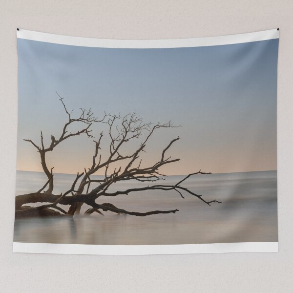 Item preview, Boneyard Beach 23/6 designed and sold by DiFigianoPhoto.