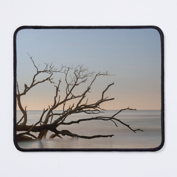 Item preview, Boneyard Beach 23/6 designed and sold by DiFigianoPhoto.