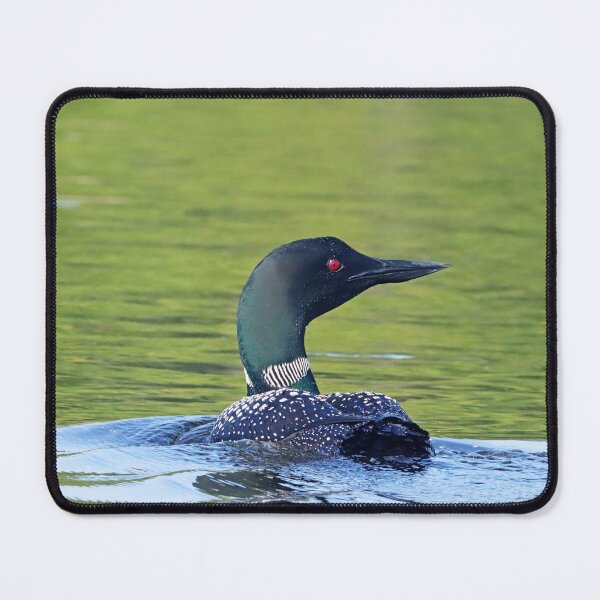 Item preview, Common Loon Profile designed and sold by Deb Oppermann.