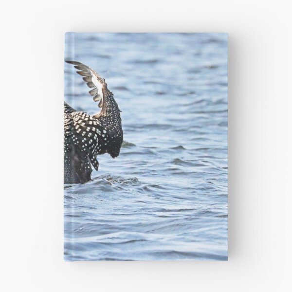 Item preview, Preening Loon designed and sold by Deb Oppermann.