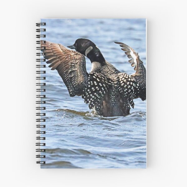 Item preview, Preening Loon designed and sold by Deb Oppermann.