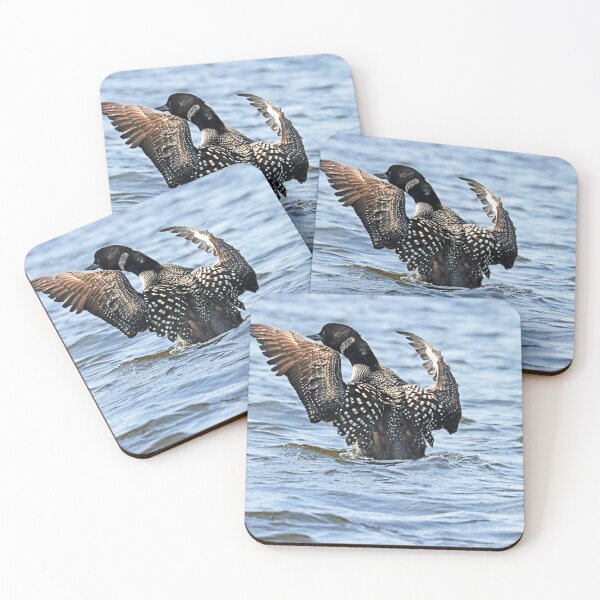 Item preview, Preening Loon designed and sold by Deb Oppermann.