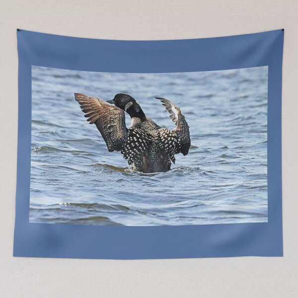 Item preview, Preening Loon designed and sold by Deb Oppermann.