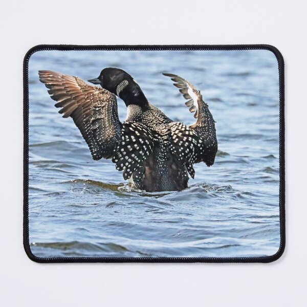 Item preview, Preening Loon designed and sold by Deb Oppermann.