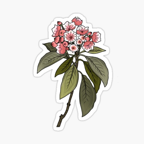 Item preview, mountain laurel designed and sold by Cevan  Wojtyla.