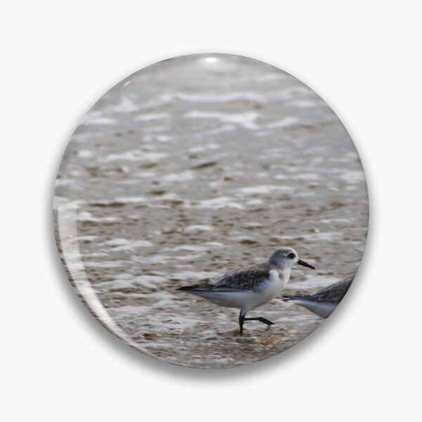 Item preview, Bird beach pack designed and sold by djsfoto.