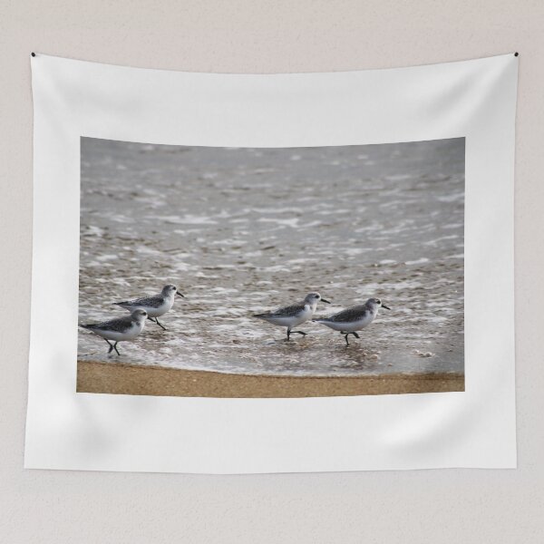 Item preview, Bird beach pack designed and sold by djsfoto.