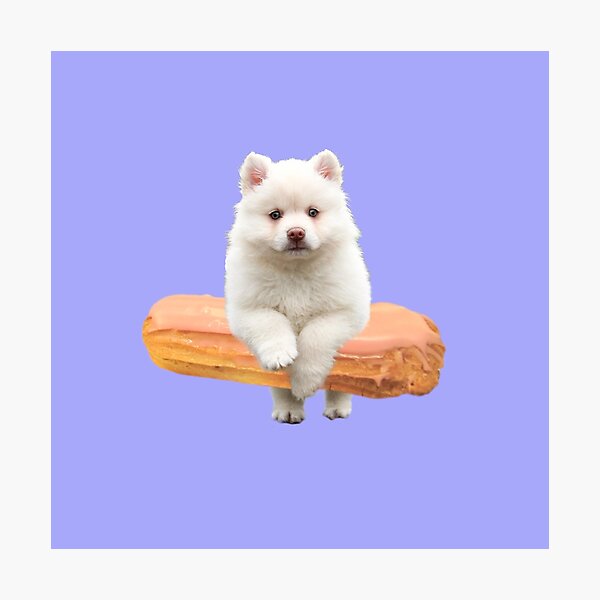 Cute Alaskan Malamute Dog jumping an éclair by Alice Monber Photographic Print