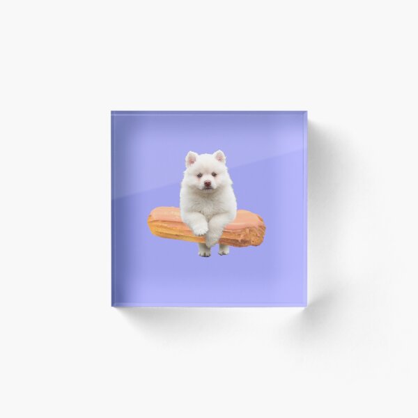 Cute Alaskan Malamute Dog jumping an éclair by Alice Monber Acrylic Block