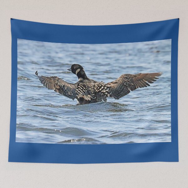 Item preview, Preening Loon Wings Open designed and sold by Deb Oppermann.