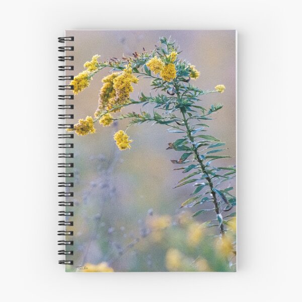 Item preview, Late Goldenrod designed and sold by timgd22.