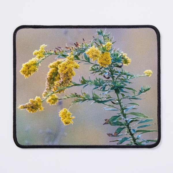 Item preview, Late Goldenrod designed and sold by timgd22.