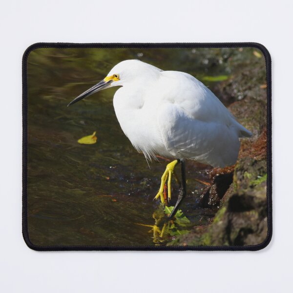 Item preview, Critical Aspirations designed and sold by Michiale.