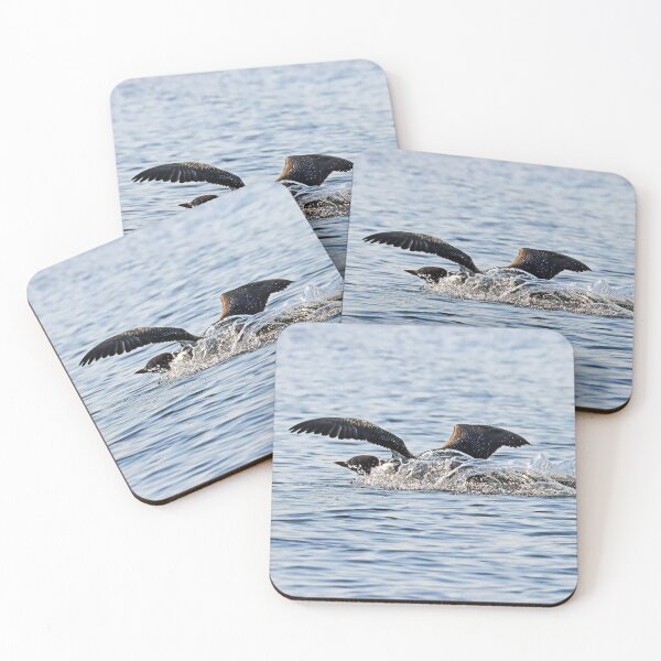Item preview, End Of The Runway designed and sold by Deb Oppermann.