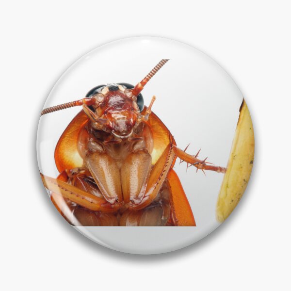 Item preview, Breadstick Roach designed and sold by AutumnsAbstruse.