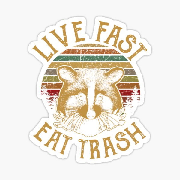 Live fast, eat trash raccoon trash panda sticker – Big Moods