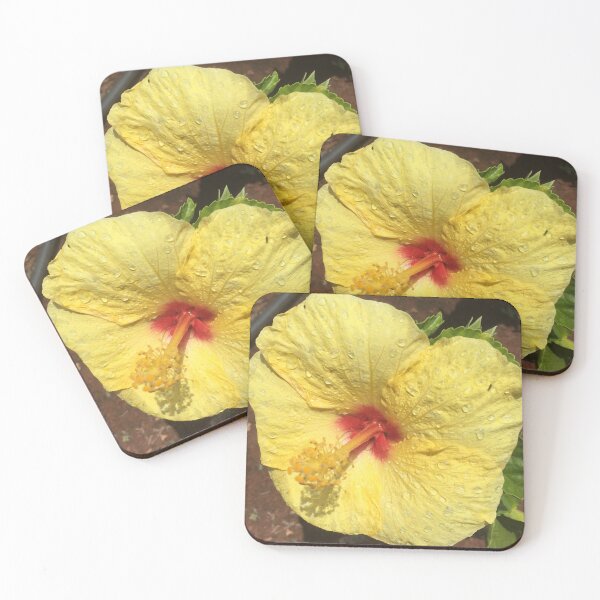 Item preview, Yellow hibiscus flower designed and sold by Nature Photography by Wendi Gordon.