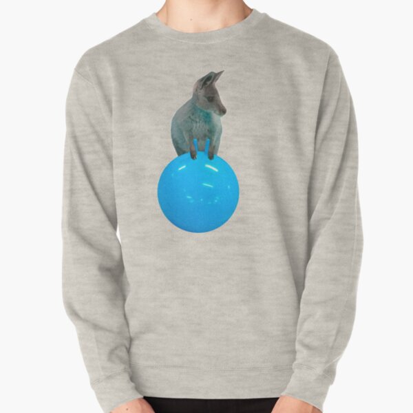 Cute kangaroo with a bouncy jumping hopping ball by Alice Monber Pullover Sweatshirt