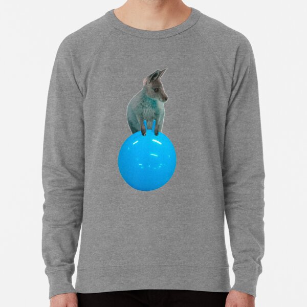 Cute kangaroo with a bouncy jumping hopping ball by Alice Monber Lightweight Sweatshirt