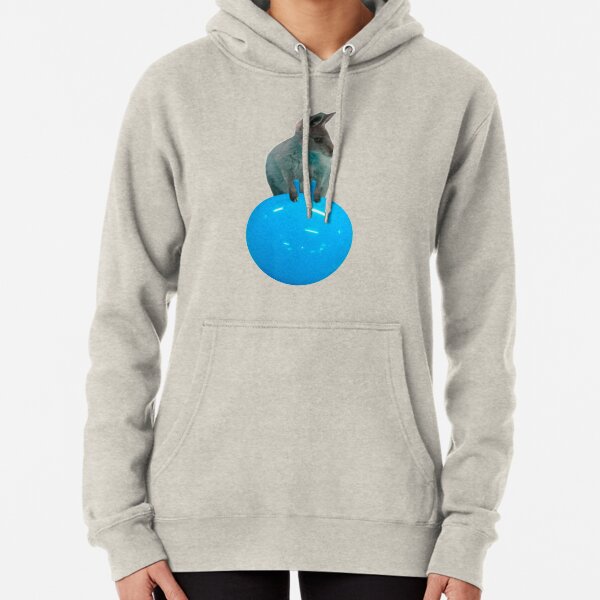 Cute kangaroo with a bouncy jumping hopping ball by Alice Monber Pullover Hoodie