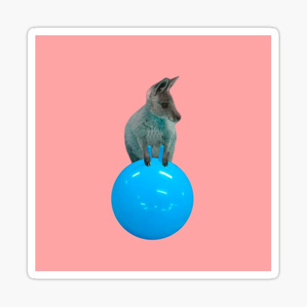 Cute kangaroo with a bouncy jumping hopping ball by Alice Monber Sticker
