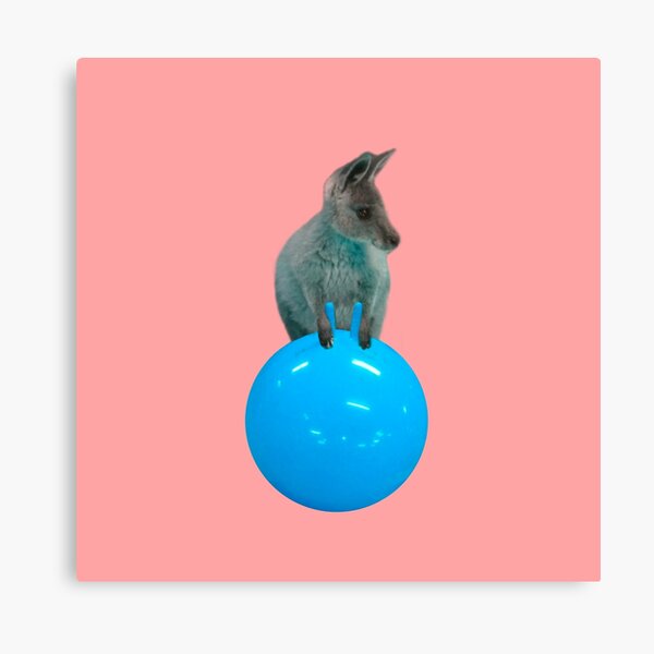 Cute kangaroo with a bouncy jumping hopping ball by Alice Monber Canvas Print