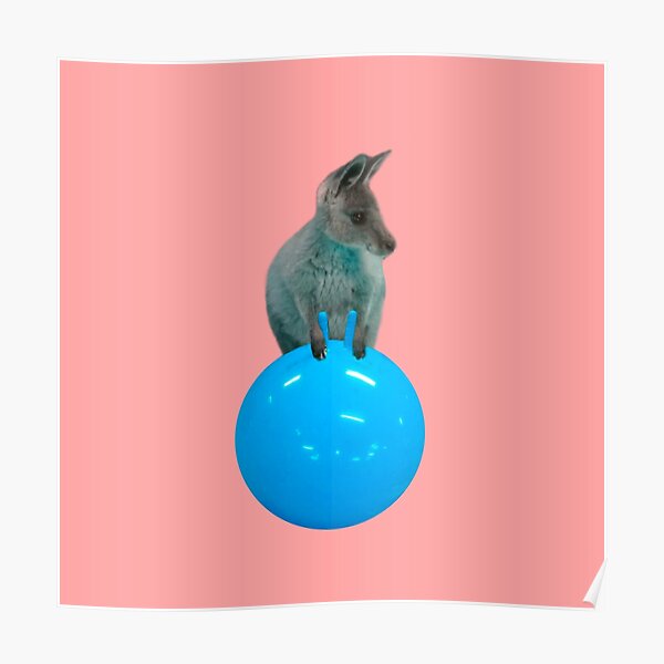 Cute kangaroo with a bouncy jumping hopping ball by Alice Monber Poster