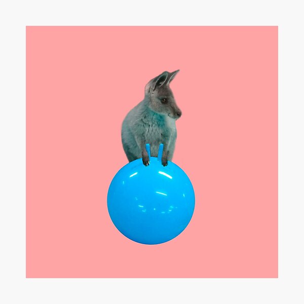 Cute kangaroo with a bouncy jumping hopping ball by Alice Monber Photographic Print