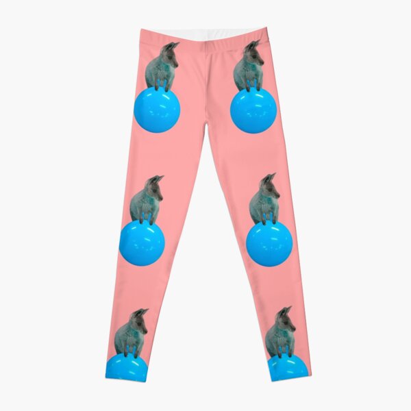 Cute kangaroo with a bouncy jumping hopping ball by Alice Monber Leggings