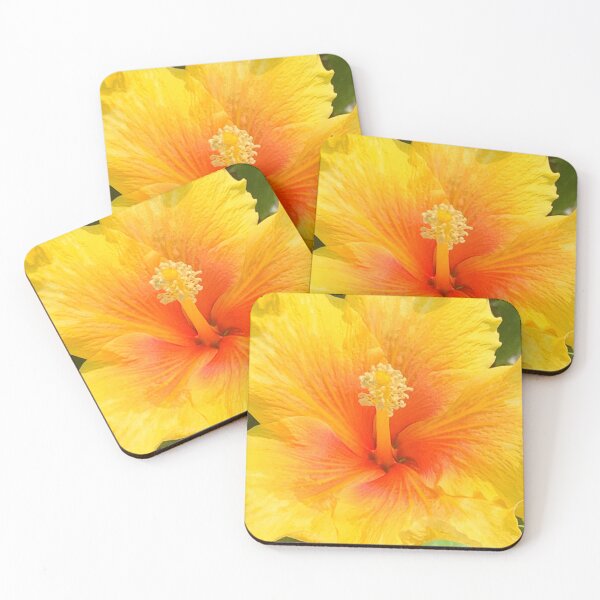 Item preview, yellow hibiscus flower with curled petal edges designed and sold by Nature Photography by Wendi Gordon.